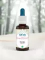 Élixir floral de Bach  Tremble  Sécurité intérieure & apaisement  Bio  DEVA