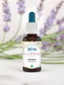 Élixir floral de Bach  Verveine  Calme & modération intérieure  Bio  DEVA