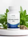 Racine dOrtie Bio  Santé urinaire & prostate  Dynveo