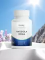 Rhodiola rosea pure  Titrée 3% rosavines  Résistance au stress  Dynveo