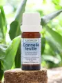 Huile essentielle Cannelle feuille Bio  tonique & purifiante  10mL  Astérale