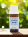 Huile essentielle Croton geayi Bio 10mL  tonique respiratoire  Astérale