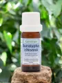 Huile essentielle Eucalyptus citronné Bio 10mL  anti-inflammatoire naturel  Astérale