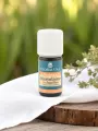 Huile essentielle Marjolaine à coquilles Bio 5mL  stress, sommeil & sphère nerveuse