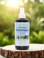 Hydrolat Ravintsara Bio 200mL  immunité et tonus  Astérale Madagascar