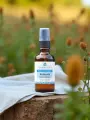 Envolée de Romarin Spray 50mL  huile essentielle & hydrolat, ambiance tonique