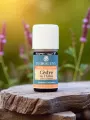 Huile essentielle Cèdre de lAtlas Bio 5 ou 10mL  circulation & ancrage énergétique