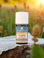 Huile essentielle Cyprès de Provence Bio 5 ou 10mL  circulation & drainage lymphatique