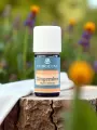 Huile essentielle Gingembre Bio 5mL  digestion & énergie physique