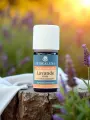Huile essentielle Lavande officinale Bio 10ou 30 mL  apaisante & régénérante cutanée
