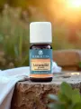 Huile essentielle Lavandin grosso Bio 10mL  détente musculaire & assainissante