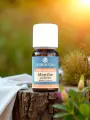 Huile essentielle Menthe poivrée Bio 5ou 10 mL  digestion, migraines & tonus