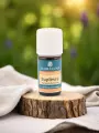 Huile essentielle Buplèvre Bio 5mL  articulations, foie & vitalité