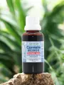 Teinture mère Cannelle écorce Astérale 30ml  Cinnamomum verum, digestive & circulatoire, bio