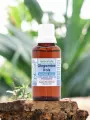 Teinture mère de Gingembre frais Astérale 30ml  Zingiber officinale, digestif & tonique métabolique, bio