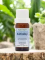 Huile essentielle Katrafay Astérale 10ml  Cedrelopsis grevei, antiinflammatoire articulaire, bio