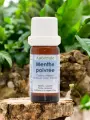 Huile essentielle Menthe poivrée Astérale 5ml et 10ml  Mentha × piperita, digestive & rafraîchissante, bio