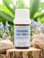 Huile essentielle Lavande vraie 1800m Astérale 5 ou 10ml  Lavandula angustifolia, apaisante & cicatrisante, bio