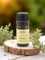 Huile essentielle Myrte Vert Intímu 5ml  Myrtus communis ct cinéole, purifiante respiratoire & cutanée, bio
