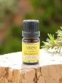 Huile essentielle Romarin à verbénone Intímu 10ml  Rosmarinus officinalis CT verbénone, détox foie & purifiante cutanée, bio