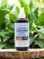 Eau florale Cannelle écorce Astérale 200ml  Cinnamomum verum, tonique buccal & digestif, bio