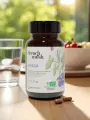 Chaga bio French Mush gélules immunité antioxydant digestion vitalité