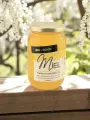 Miel dAcacia artisanal 250 g (ou 500 g) Béarn