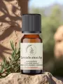 Huile essentielle Lavande stoechas Bio Demeter Corse 2 ml