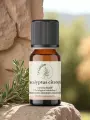 Huile essentielle deucalyptus citronné bio  5 ml ou 10 ml  Anti-inflammatoire et répulsive