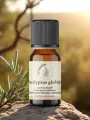 Huile essentielle deucalyptus globulus bio  Origine Corse  5 ml  Respiratoire et purifiante