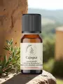 Huile essentielle de cajeput bio  Antiseptique respiratoire naturel