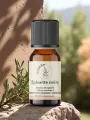 Huile essentielle dépinette noire sauvage bio  Canada  2 ml  Tonique et respiratoire