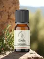 Huile essentielle Pruche sauvage Canada 2 ml