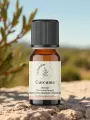 Huile essentielle de curcuma bio  Rhizome  2 ml  Digestive et antioxydante