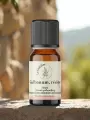 Huile essentielle de galbanum bio  Iran  2 ml  Purifiante et harmonisante