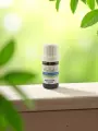 Huile essentielle de menthe verte bio  Digestive & rafraîchissante  Artisanat Limousin