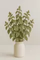 Menthe poivrée feuilles coupées Bio  plante digestive, antispasmodique et rafraîchissante 50g