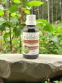 Alcoolature de Renouée du Japon bio 1:5  Antioxydante & circulatoire  Artisanat Limousin