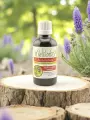 Alcoolature de Scutellaire bio 1:5  Relaxante & nervine  Artisanat Limousin