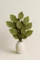 Noisetier feuilles Bio  plante veinotonique & circulatoire 50g