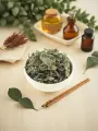 Ortie feuilles Bio  plante drainante reminéralisante 50g