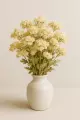 Reine des prés fleurs Bio  plante diurétique anti-inflammatoire douce 50g