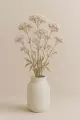Valériane racine Bio  plante sédative, anxiolytique & sommeil 50g