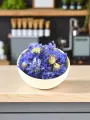 Bleuet capitules Bio  fleurs apaisantes, adoucissantes & circulatoires 10g