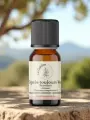 Huile essentielle de cyprès vert bio  Sud-Est France  5 ml  Circulatoire et respiratoire