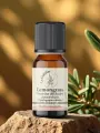 Huile essentielle Lemongrass Verveine des Indes Bio 5 ml et 10 ml