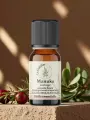Huile essentielle Manuka sauvage Bio Nouvelle-Zélande 5 ml