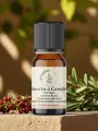 Huile essentielle Romarin camphré sauvage Bio Alpes-de-Haute-Provence 5 ml