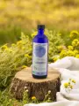 Hydrolat Tanaisie Bio Lilizain Pays basque  Purifiant et tonique 200 ml