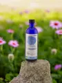 Hydrolat Échinacée Bio Lilizain Pays basque  Immunité et protection 200 ml